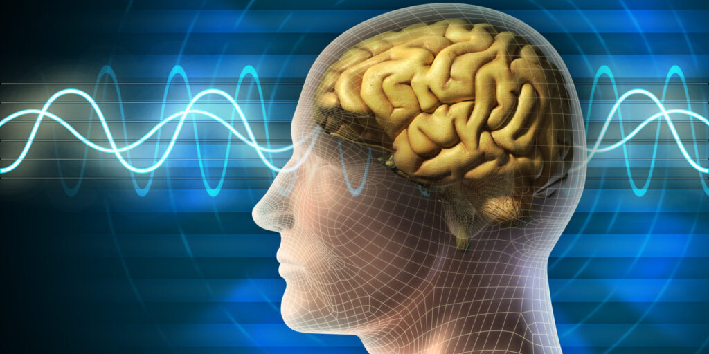 Brain waves Human head and brain. Different kind of waveforms produced by brain activity shown on background. Digital illustration.